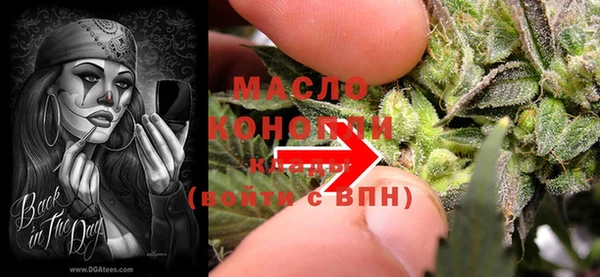 ECSTASY Богородицк